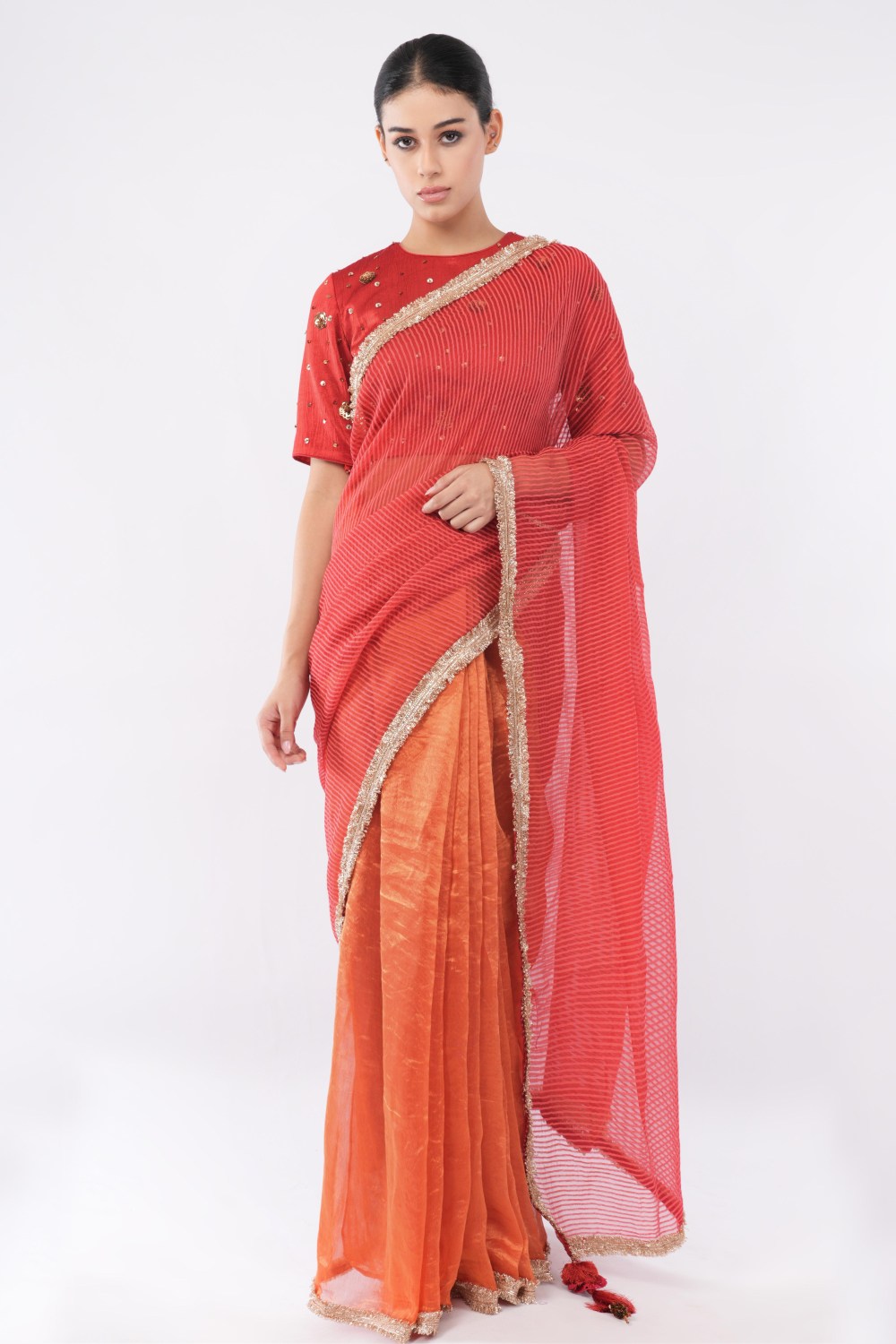 The Classic Diptych Sari