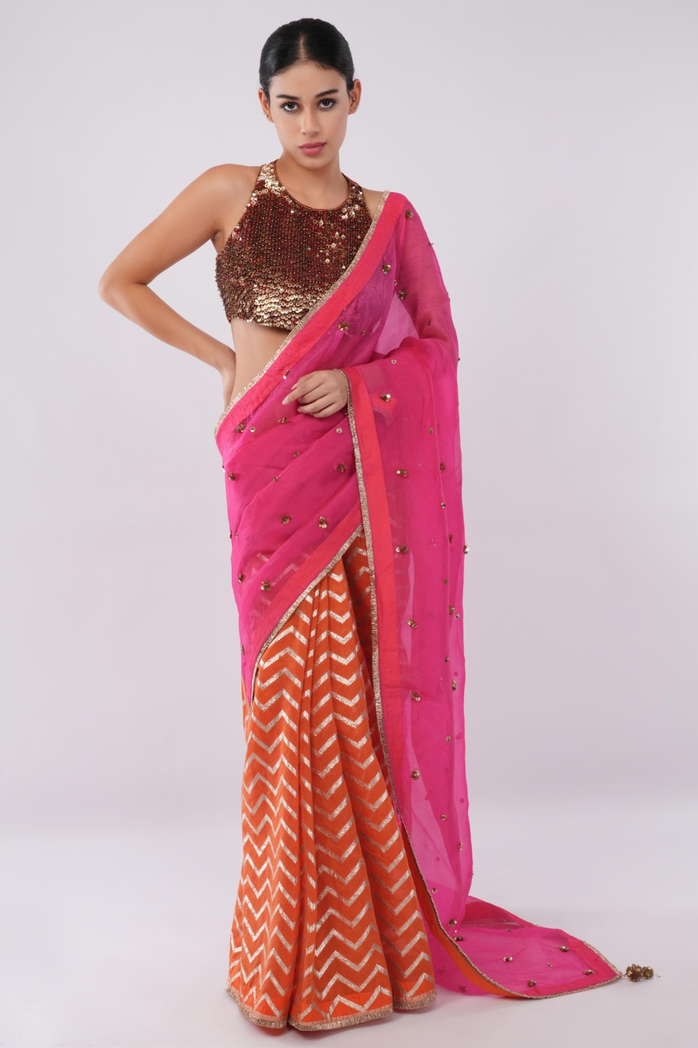 The Efflorescing Diptych Sari